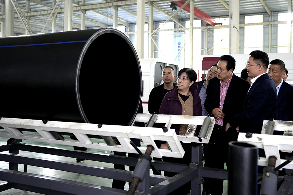 蘇州市吳江區(qū)黎里鎮(zhèn)人大主席袁奕帶領考察團蒞臨豪家股份考察調(diào)研